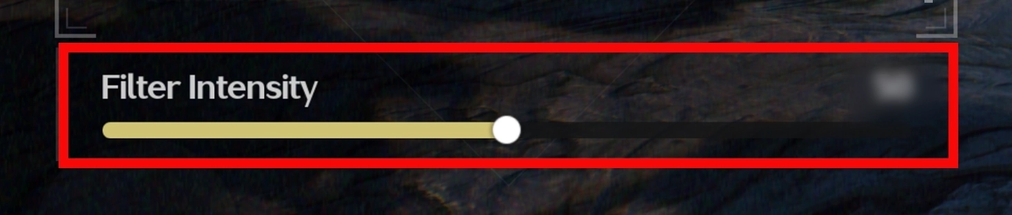 Filter Intensity guide